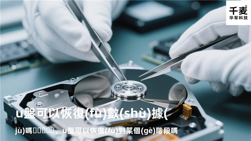 u盤可以恢復(fù)數(shù)據(jù)嗎，u盤可以恢復(fù)到某個(gè)階段嗎